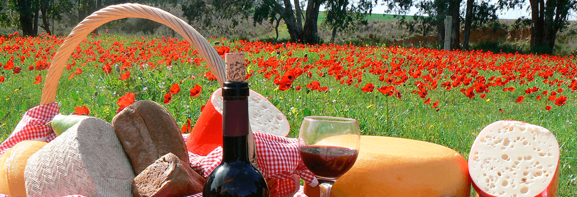 מחלבת בארי: גאווה דרומית בפסטיבל היין (צילום: יח''צ)